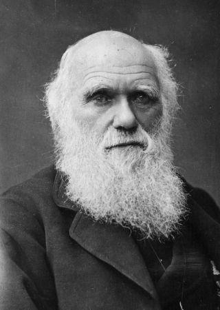Ảnh Darwin