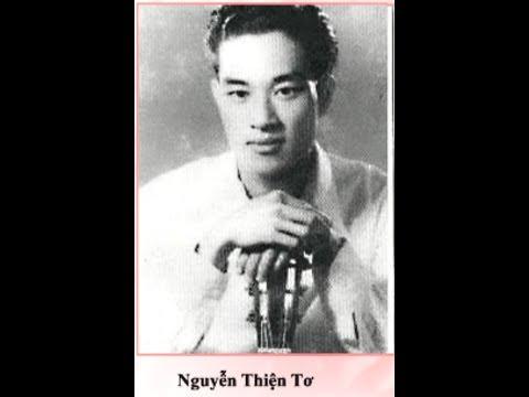 Ảnh Nguyễn Thiện Tơ