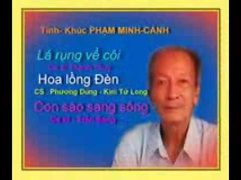 Ảnh Phạm Minh Cảnh