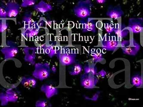 Ảnh Trần Thụy Minh