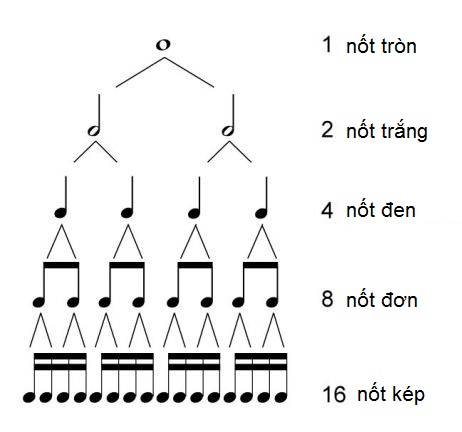 Trường độ trong âm nhạc